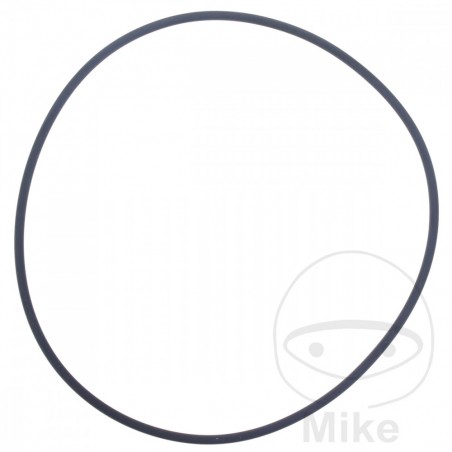 ATHENA water pump gasket 2.5 X 101 MM 734.20.79