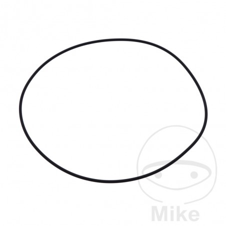 ATHENA O-ring for cylinder tube 2 X 120 MM 734.41.85