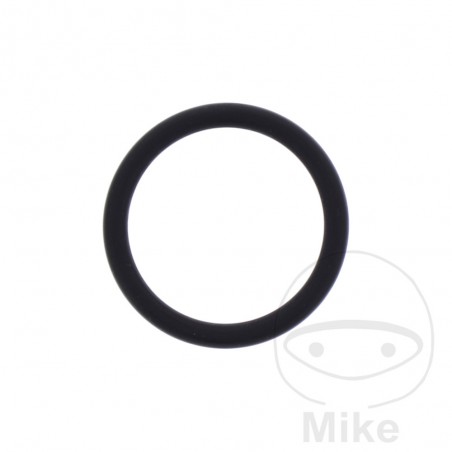 ATHENA Timing chain tensioner gasket 2.62 X 20.63 MM 734.42.44