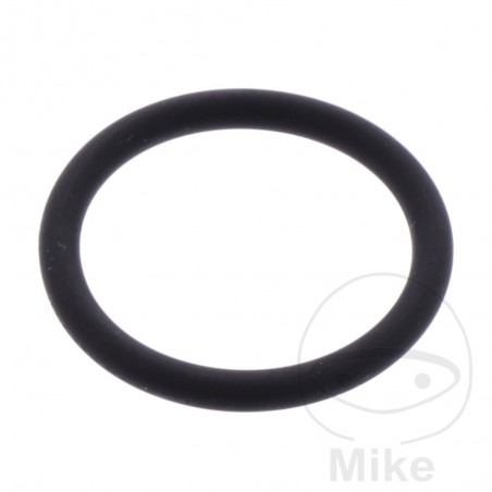ATHENA starter motor gasket 2.62 X 20.64 MM 734.44.83