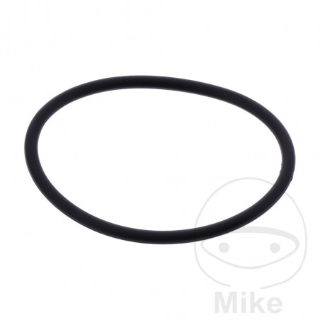 Valve cover gasket 2.6 X 41 MM OEM 734.51.51