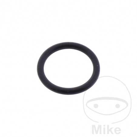 ATHENA Timing chain tensioner gasket 1.5 X 10 MM 734.62.39