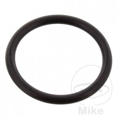 JMP Timing chain tensioner gasket 2.5 X 22 MM 734.66.35