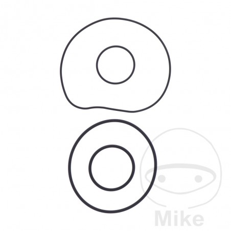 water pump gasket OEM 734.74.60