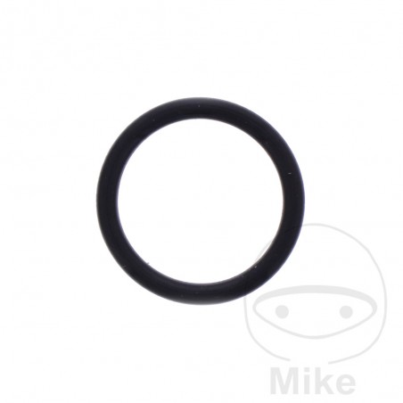 Junta tensor cadena de distribución 2.4 X 18.8 MM OEM 734.75.55