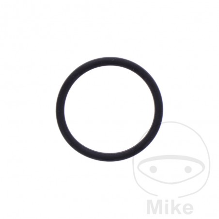 Junta tensor cadena de distribución 1.8X18.7 MM OEM 734.75.56