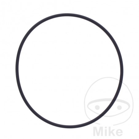 ATHENA water pump gasket 2 X 65 MM 734.75.79