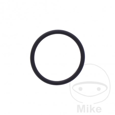 ATHENA Timing chain tensioner gasket 1.78X18.77 MM 734.77.97