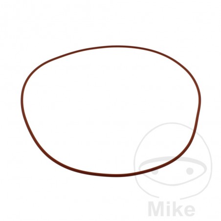 ATHENA Valve cover gasket 2.62 X 202.88 MM 751.25.85