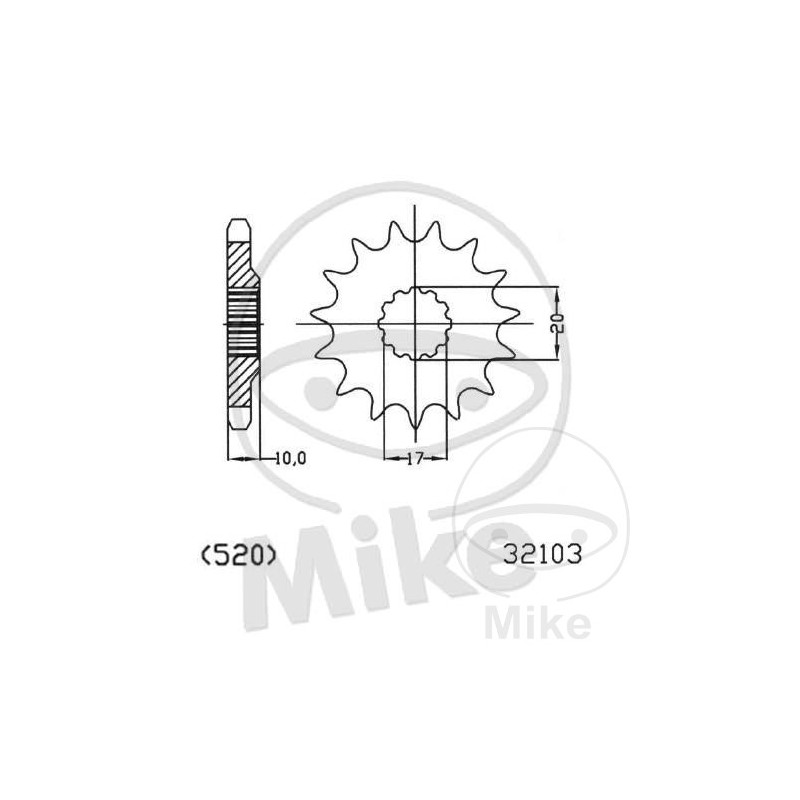 ESJOT Fine gear transmission pinion 13T 520 Ø17/21 726.19.10
