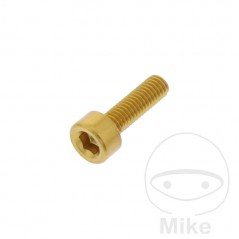 JMP Allen head cylindrical screw M3X0.5 MM 775.04.14VAR