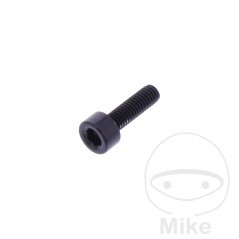 JMP Allen head cylindrical screw M3X0.5 MM 775.04.14VAR