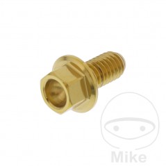 JMP Hex head steel screw M6X1.00 MM V4A 775.31.81VAR