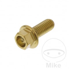 JMP Hex head steel screw M6X1.00 MM V4A 775.31.81VAR