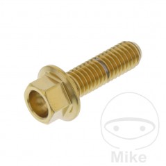JMP Hex head steel screw M6X1.00 MM V4A 775.31.81VAR