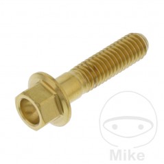 JMP Hex head steel screw M6X1.00 MM V4A 775.31.81VAR