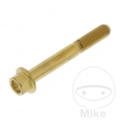 JMP Hex head steel screw M6X1.00 MM V4A 775.31.81VAR