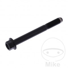 JMP Hex head steel screw M6X1.00 MM V4A 775.31.81VAR