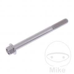 JMP Hex head steel screw M6X1.00 MM V4A 775.31.81VAR