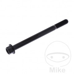 JMP Hex head steel screw M6X1.00 MM V4A 775.31.81VAR
