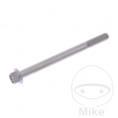 JMP Hex head steel screw M6X1.00 MM V4A 775.31.81VAR