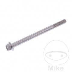 JMP Hex head steel screw M6X1.00 MM V4A 775.31.81VAR