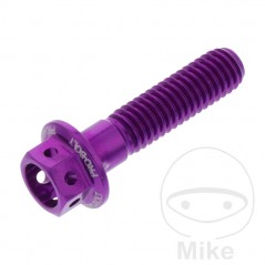JMP Hexagon head aluminum screw M6X1.00 MM RACING 775.31.99VAR