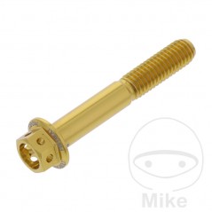 JMP Hexagon head aluminum screw M6X1.00 MM RACING 775.31.99VAR
