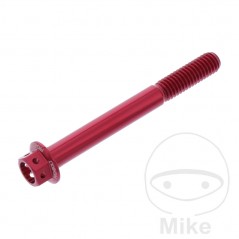 JMP Hexagon head aluminum screw M6X1.00 MM RACING 775.31.99VAR