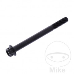 JMP Hexagon head aluminum screw M6X1.00 MM RACING 775.31.99VAR