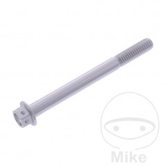 JMP Hexagon head aluminum screw M6X1.00 MM RACING 775.31.99VAR