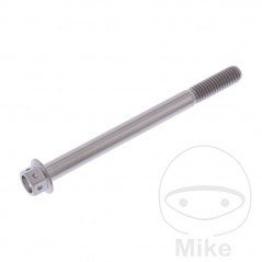 JMP Titanium hex head screw M6X1.00 MM RACING 775.43.40VAR