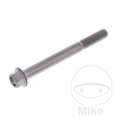 JMP Titanium hex head screw M6X1.00 MM 775.43.68VAR