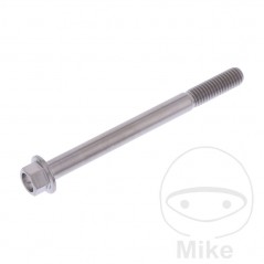 JMP Titanium hex head screw M6X1.00 MM 775.43.68VAR
