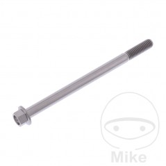 JMP Titanium hex head screw M6X1.00 MM 775.43.68VAR