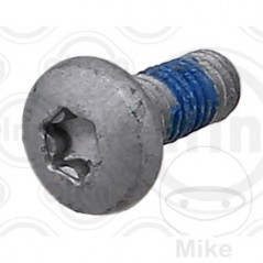 ELRING Oil pan bolt M6X16 MM TX30 382.56.74