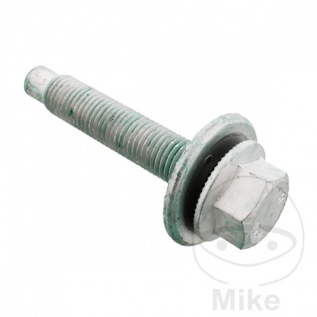 A.I.C. Screw for shaft body 382.61.20