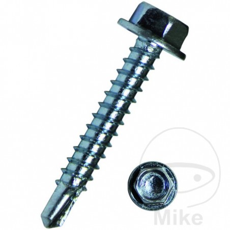 DRESSELHAUS Pack 100 drilling screws 4.2 7504K 479.00.01VAR