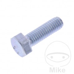 JMP Pack of 10 hexagonal screws 8.8 M5 479.01.65VAR