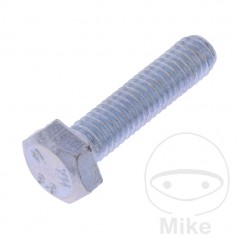 JMP Pack 10 tornillos hexagonal 8.8 M6 479.01.71VAR