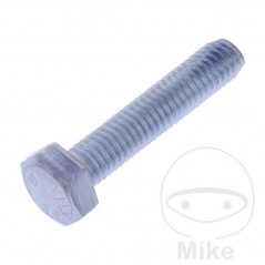 JMP Pack 10 tornillos hexagonal 8.8 M6 479.01.71VAR