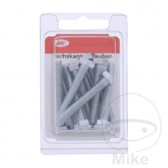 JMP Pack 10 tornillos hexagonal 8.8 M6 479.01.71VAR