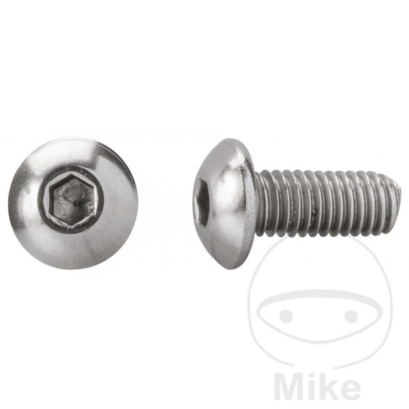 DRESSELHAUS Pack 500 tornillos de cabeza semirredonda A2 M4X25 MM ISO 7380-2 479.01.98