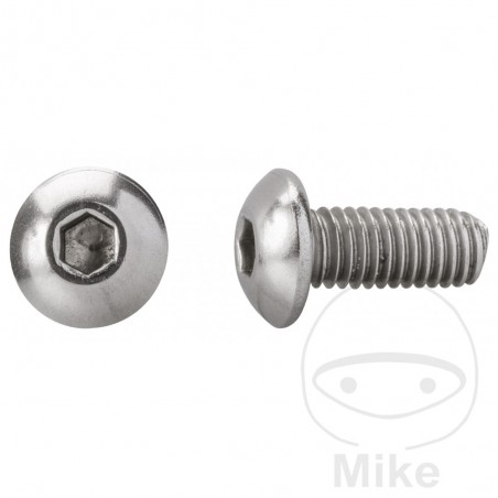 DRESSELHAUS Pack of 200 semi-round head screws A2 M6X40 MM ISO 7380-2 479.02.00