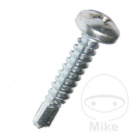 DRESSELHAUS Pack 100 drilling screws 4.2 7504M 480.28.98VAR