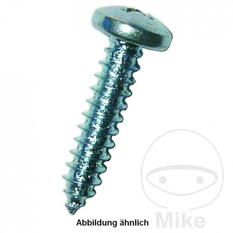DRESSELHAUS Pack of 100 sheet metal screws 3.9 7981 480.14.03VAR