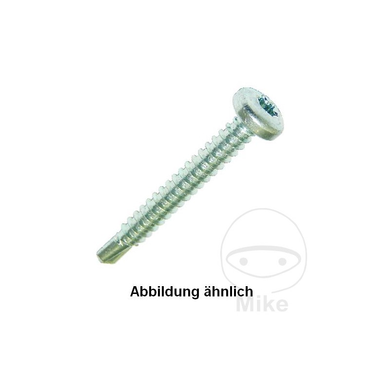 DRESSELHAUS Pack 100 tornillos de perforación 4.2 7504M TORX 480.07.36VAR