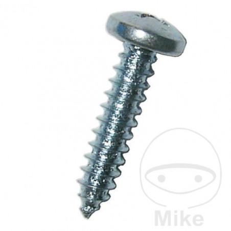 DRESSELHAUS Pack of 100 sheet metal screws 4.2 7981 480.14.60VAR