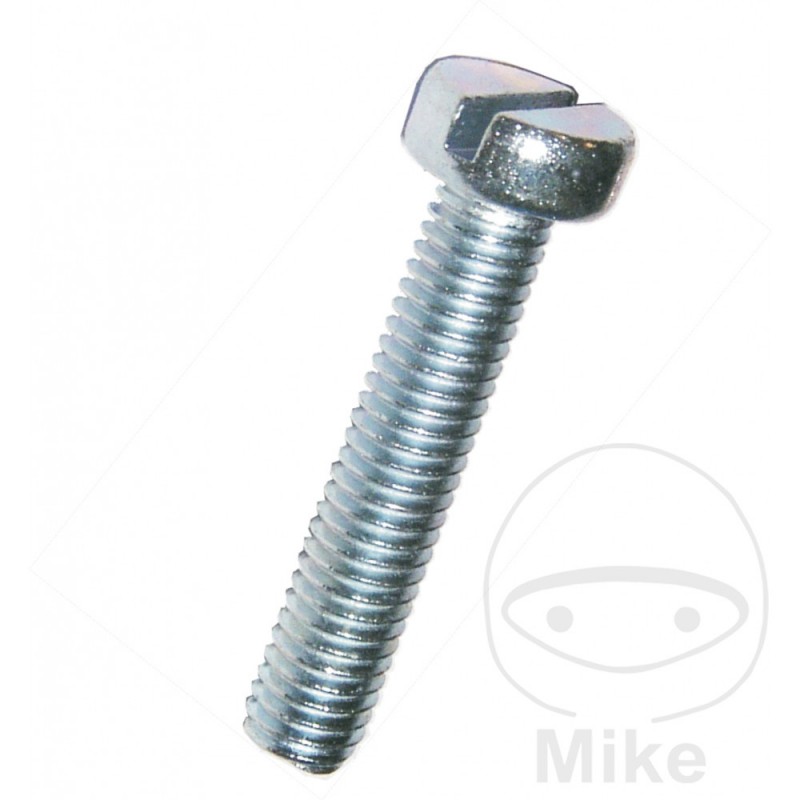 DRESSELHAUS Pack 100 tornillos hexagonal 3X20 MM 84 482.00.31