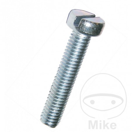 DRESSELHAUS Pack 100 hexagonal screws 3X20 MM 84 482.00.31